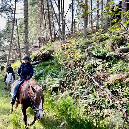 Scottish Equi B&B 래너크 외부 사진